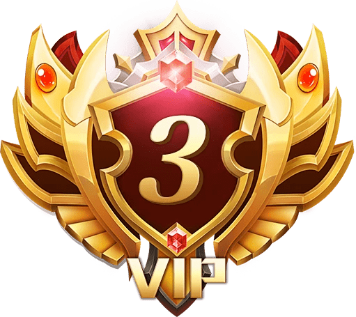 Gói VIP 3